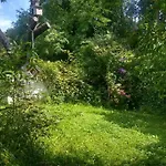 Ruhige 4-zi-wohnung Mit Großem Balkon Und Blick Ins Grüne Karlsruhe
