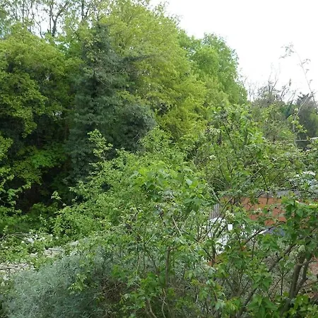 Daire Ruhige 4-zi-wohnung Mit Grossem Balkon Und Blick Ins Gruene