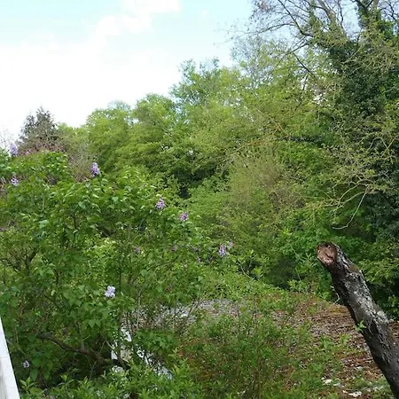 アパート Ruhige 4-zi-wohnung Mit Grossem Balkon Und Blick Ins Gruene *
