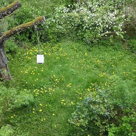 Daire Ruhige 4-zi-wohnung Mit Grossem Balkon Und Blick Ins Gruene *