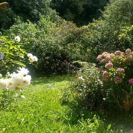 Daire Ruhige 4-zi-wohnung Mit Grossem Balkon Und Blick Ins Gruene *