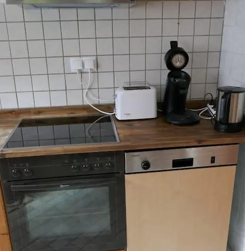 Ruhige 4-zi-wohnung Mit Grossem Balkon Und Blick Ins Gruene Daire *