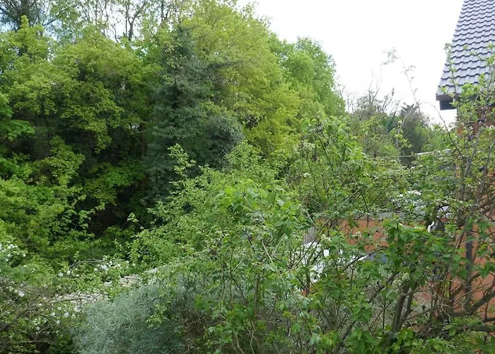 Daire Ruhige 4-zi-wohnung Mit Grossem Balkon Und Blick Ins Gruene