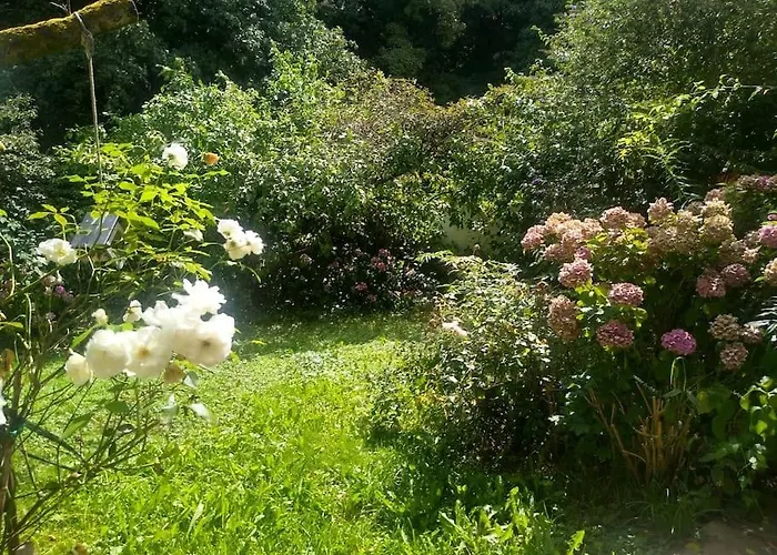 Ruhige 4-zi-wohnung Mit Grossem Balkon Und Blick Ins Gruene Daire *