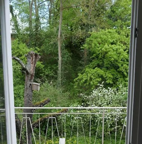 Ruhige 4-zi-wohnung Mit Grossem Balkon Und Blick Ins Gruene