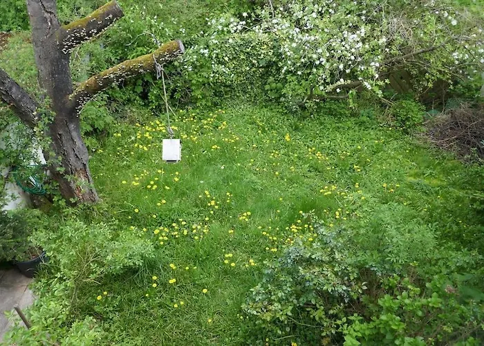 Daire Ruhige 4-zi-wohnung Mit Grossem Balkon Und Blick Ins Gruene *